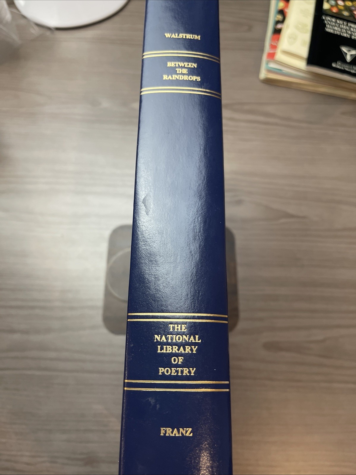 Between The Raindrops-The National Library of Poetry-Nicole Walstrum Editor