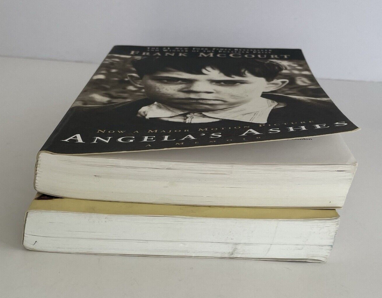 Angela’s Ashes & ‘Tis by Frank McCourt Memoirs Biography Ireland Irish Americans