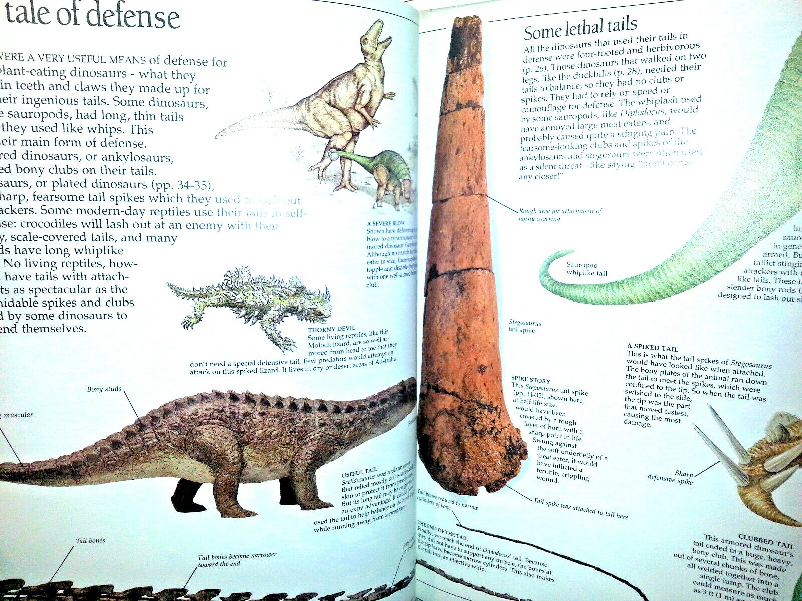 DINOSAUR EYEWITNESS BOOK HARDCOVER Homeschool BEHAVIOR HABITAT DISAPPEARANCE New