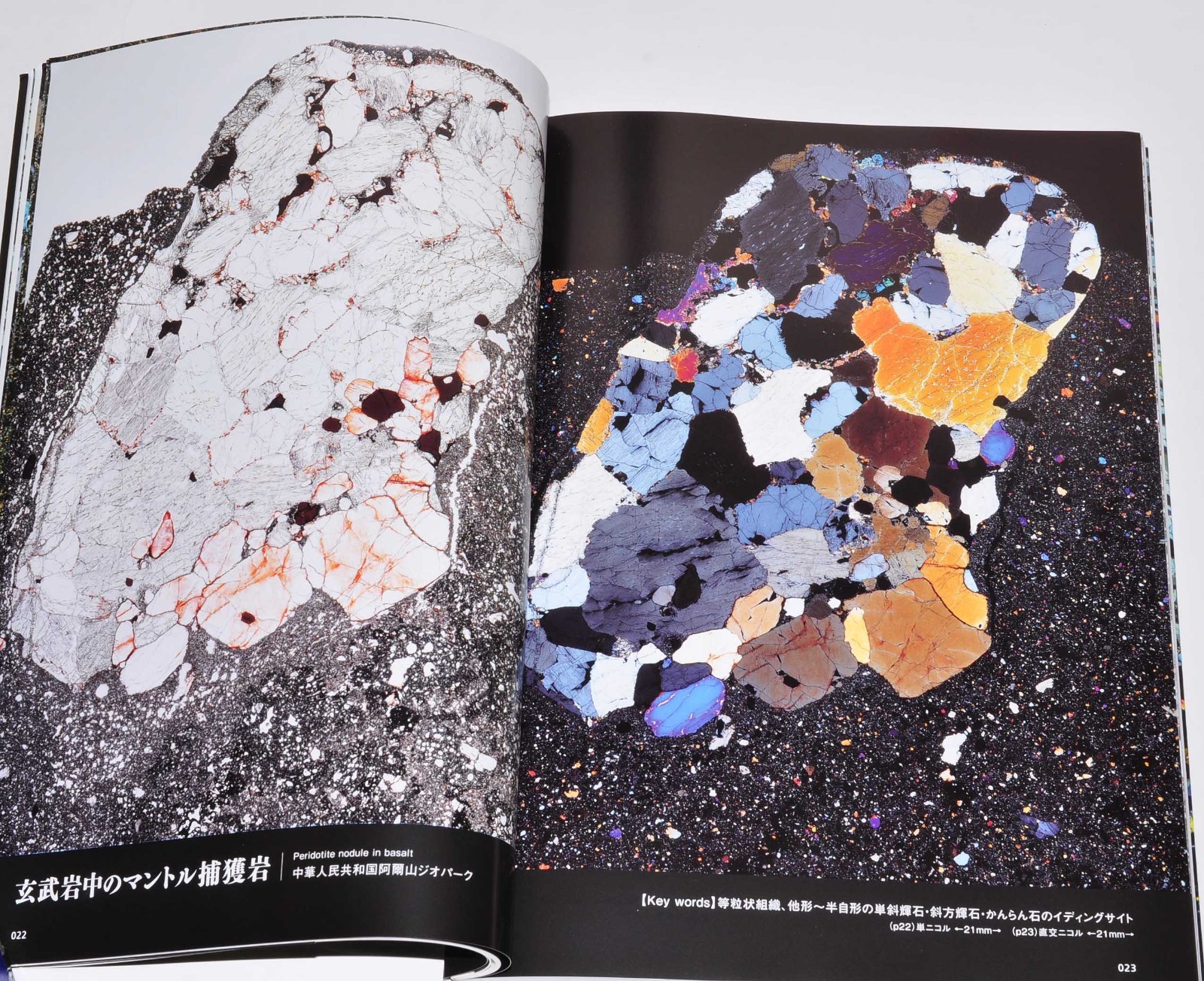 Rock Thin Section Illustrated Guide: Mineral Composition and History from Japan