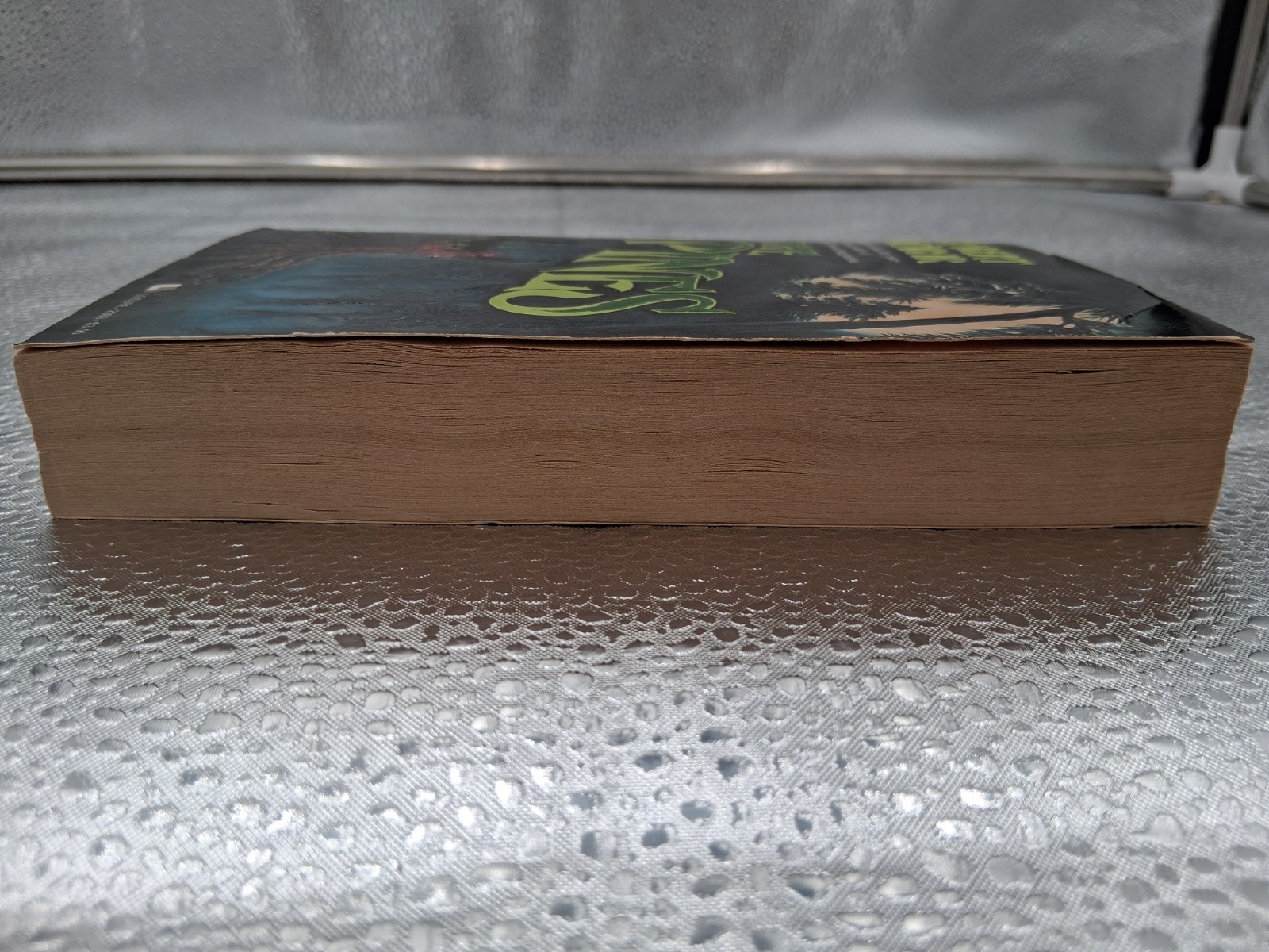 The Pines by Robert Dunbar 1989 Leisure Horror First Edition Paperback