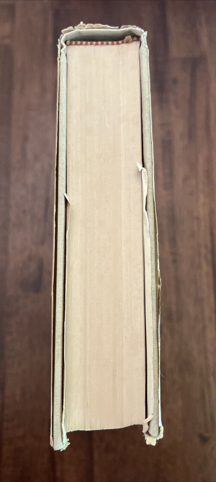 Great Lion of God, A Novel About St. Paul by Taylor Caldwell *STATED FIRST *NICE