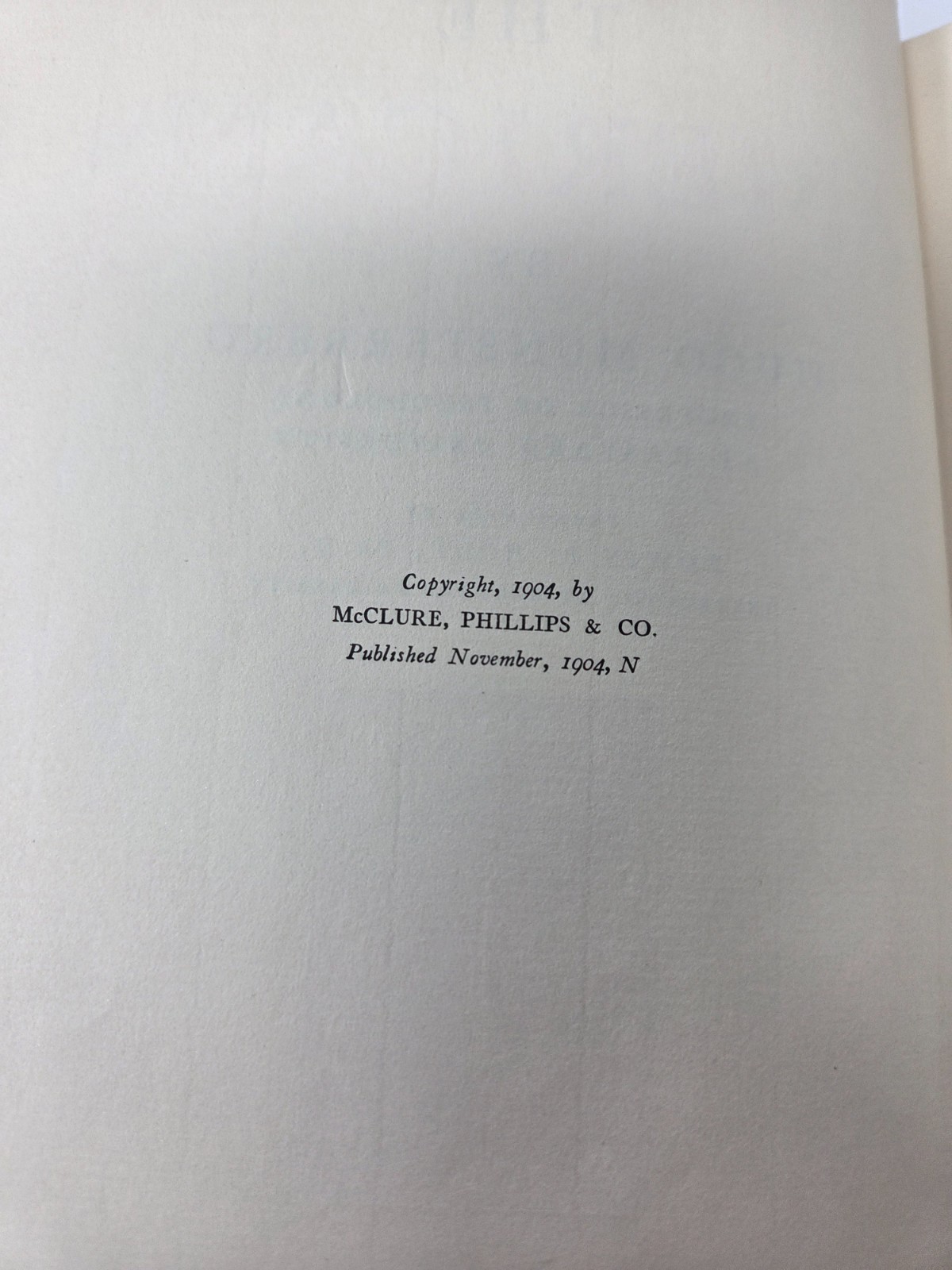 1904 The Americans Hugo Münsterberg Antique VINTAGE Book American Society