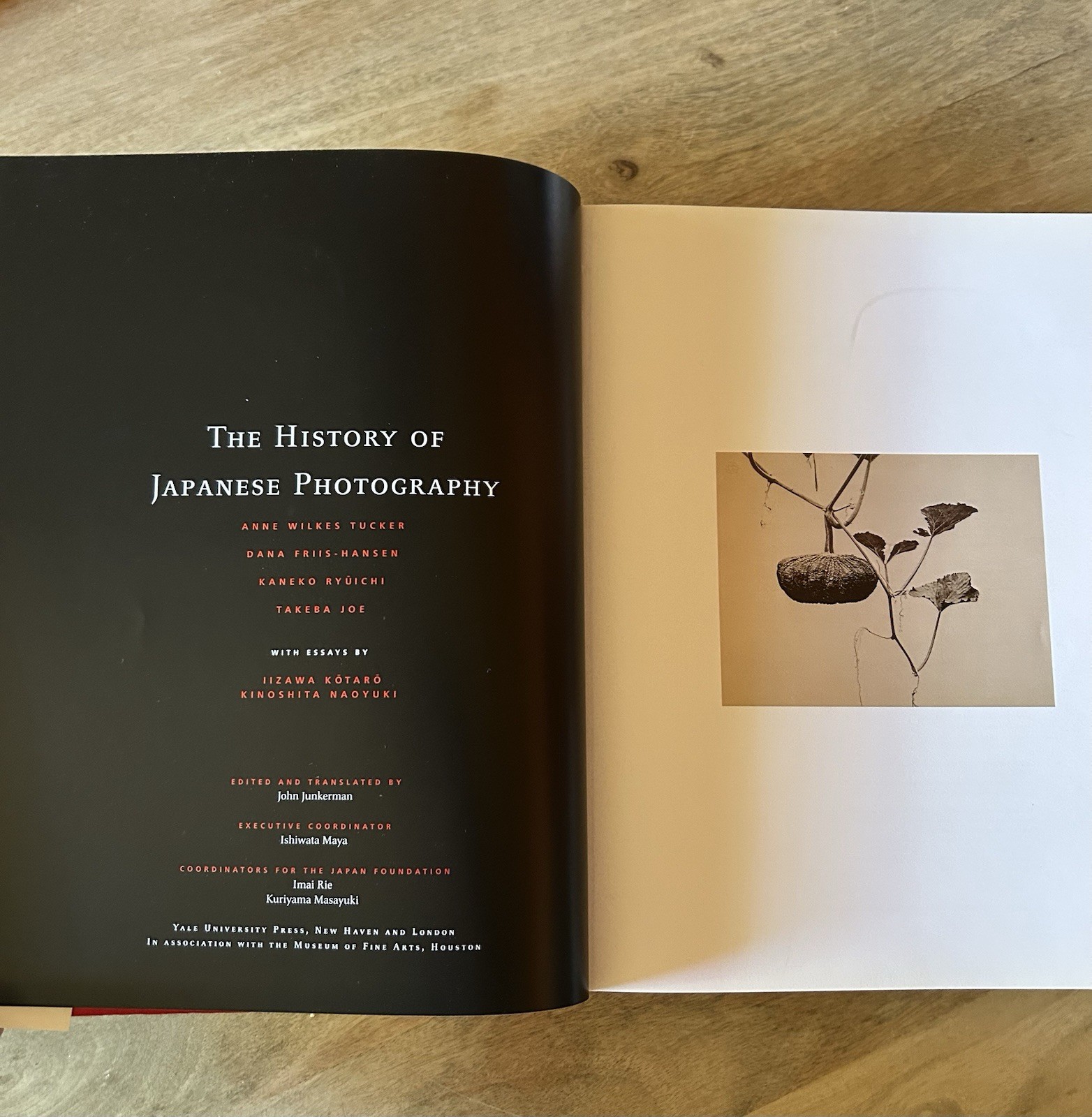 History of Japanese Photography by Dana Friis-Hansen, Kaneko Ryuichi, Anne Tucke