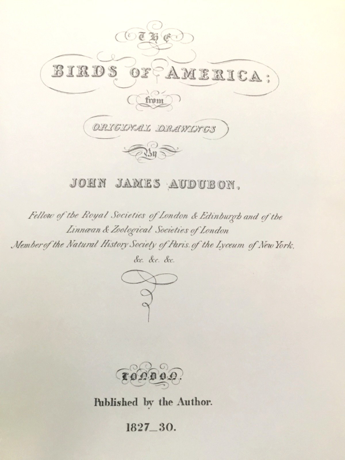 BIRDS OF AMERICA John Audubon McMillan Co Color Plate Prints 10th Printing 1974
