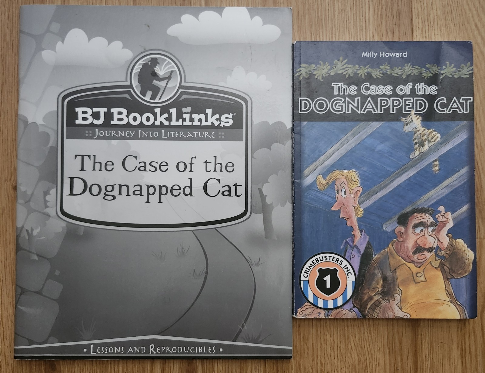 3 BJU Booklinks Pulling Together These Are My People Case Of The Dognapped Cat