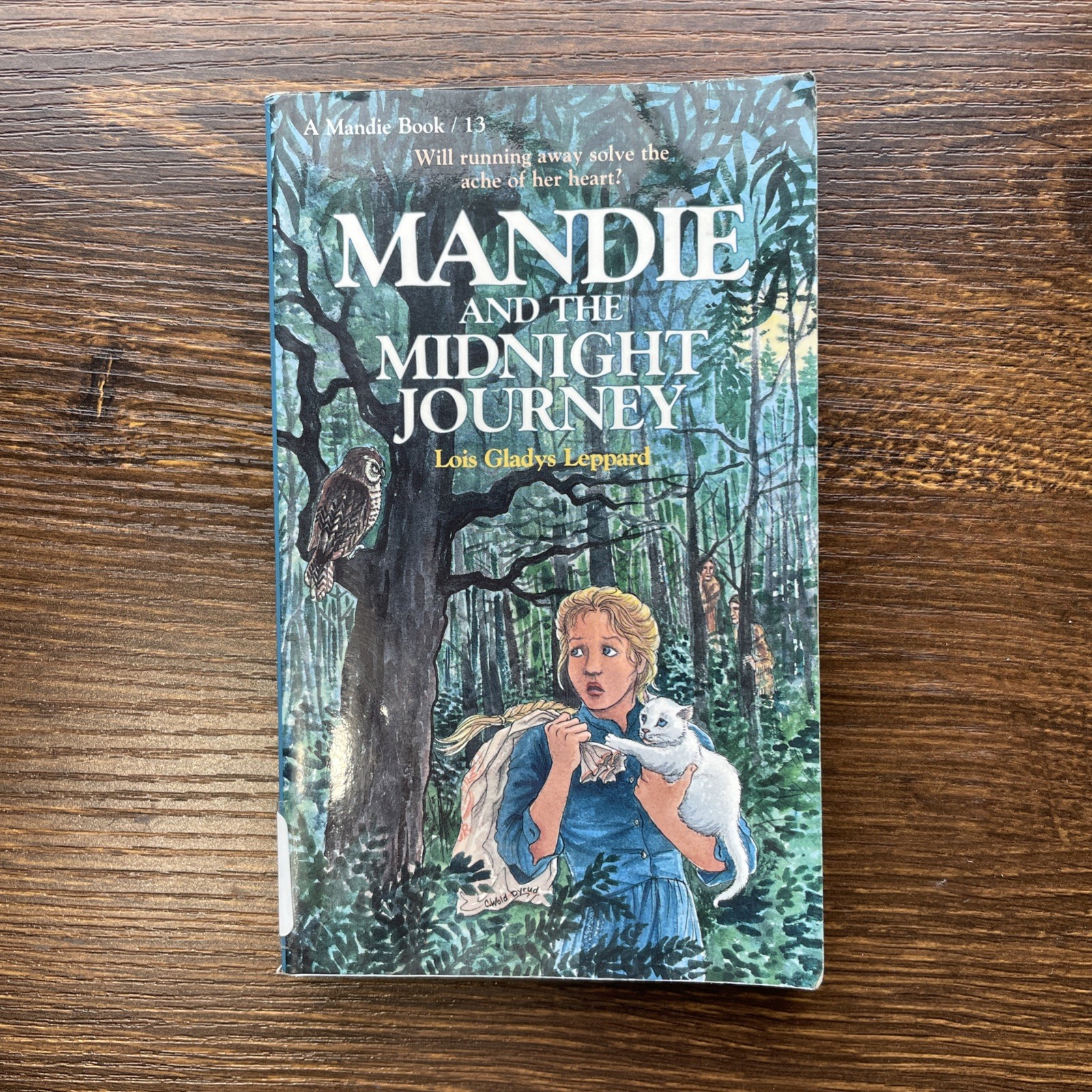 Mandie Mystery Book Lot of 4 PB Lois Gladys Leppard See Photos Varied Condition