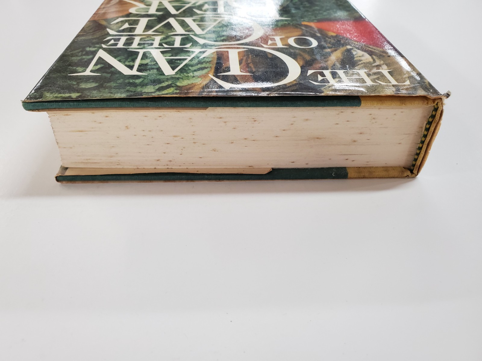 The Clan of the Cave Bear by Jean M Auer (1980, Crown) Vintage Hardcover
