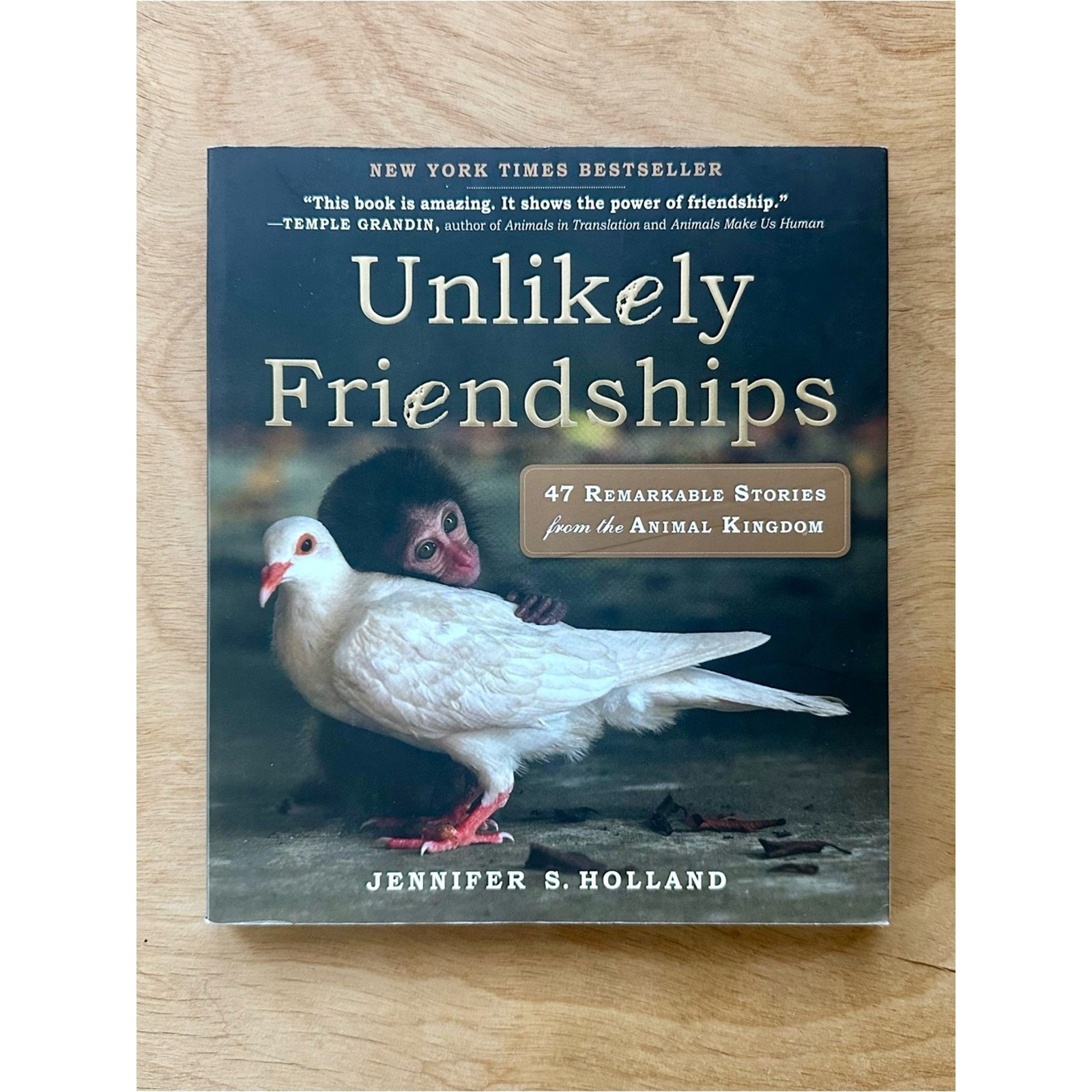 Unlikely Friendships Jennifer S Holland Paperback Animal Stories Book