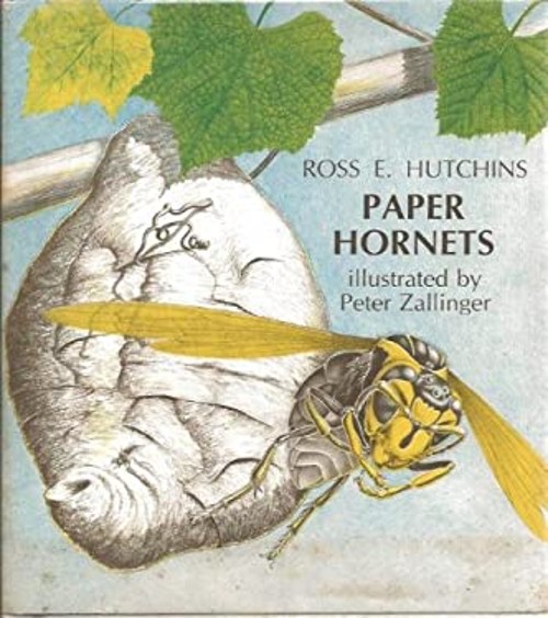 Paper Hornets Hardcover Ross E. Hutchins