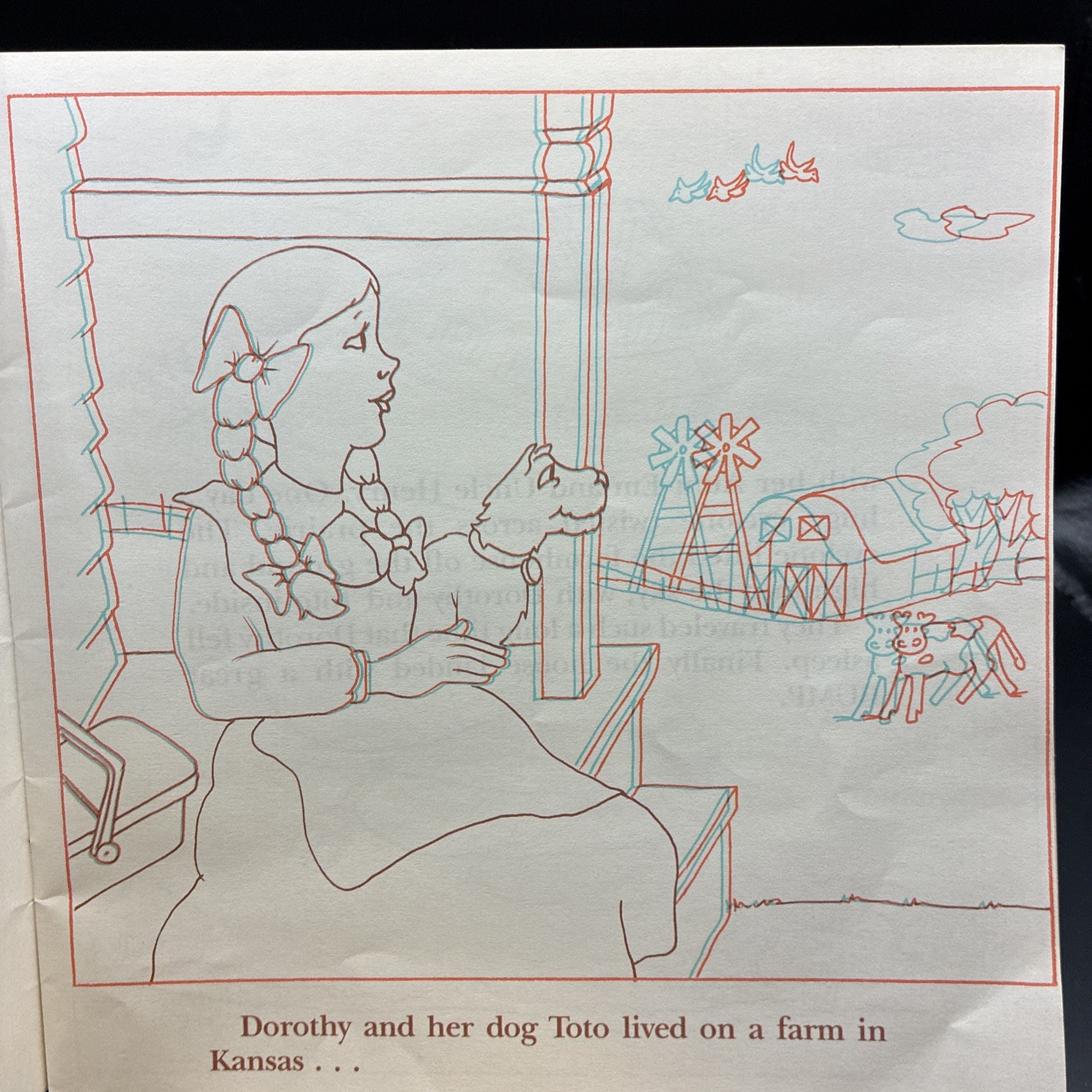 A 3-D Storybook To Color The Wizard Of Oz Gina Phillips (no Glasses)