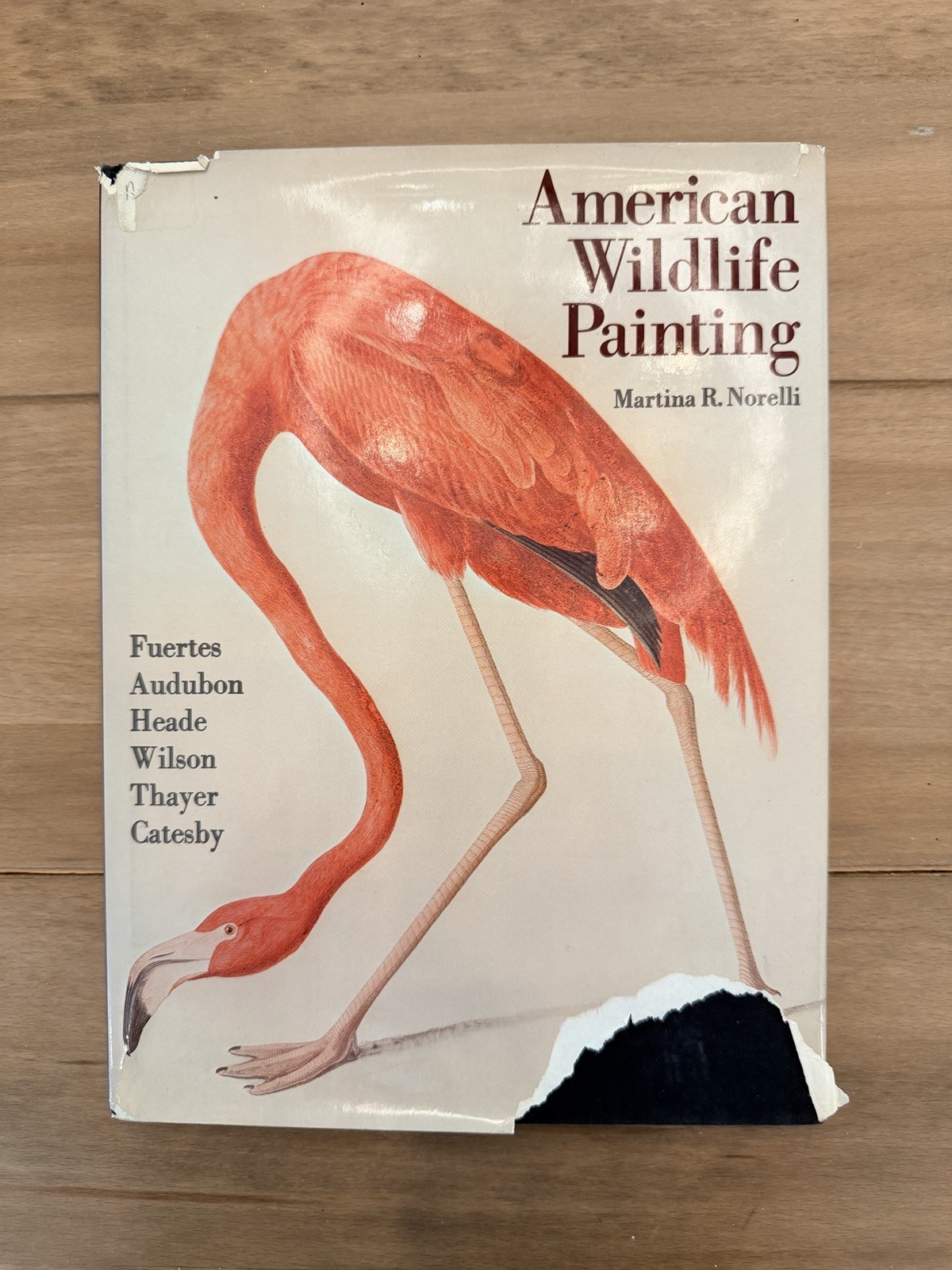 American Wildlife Painting, Martina Norelli, 1982, 1st Edition, Signed By Author