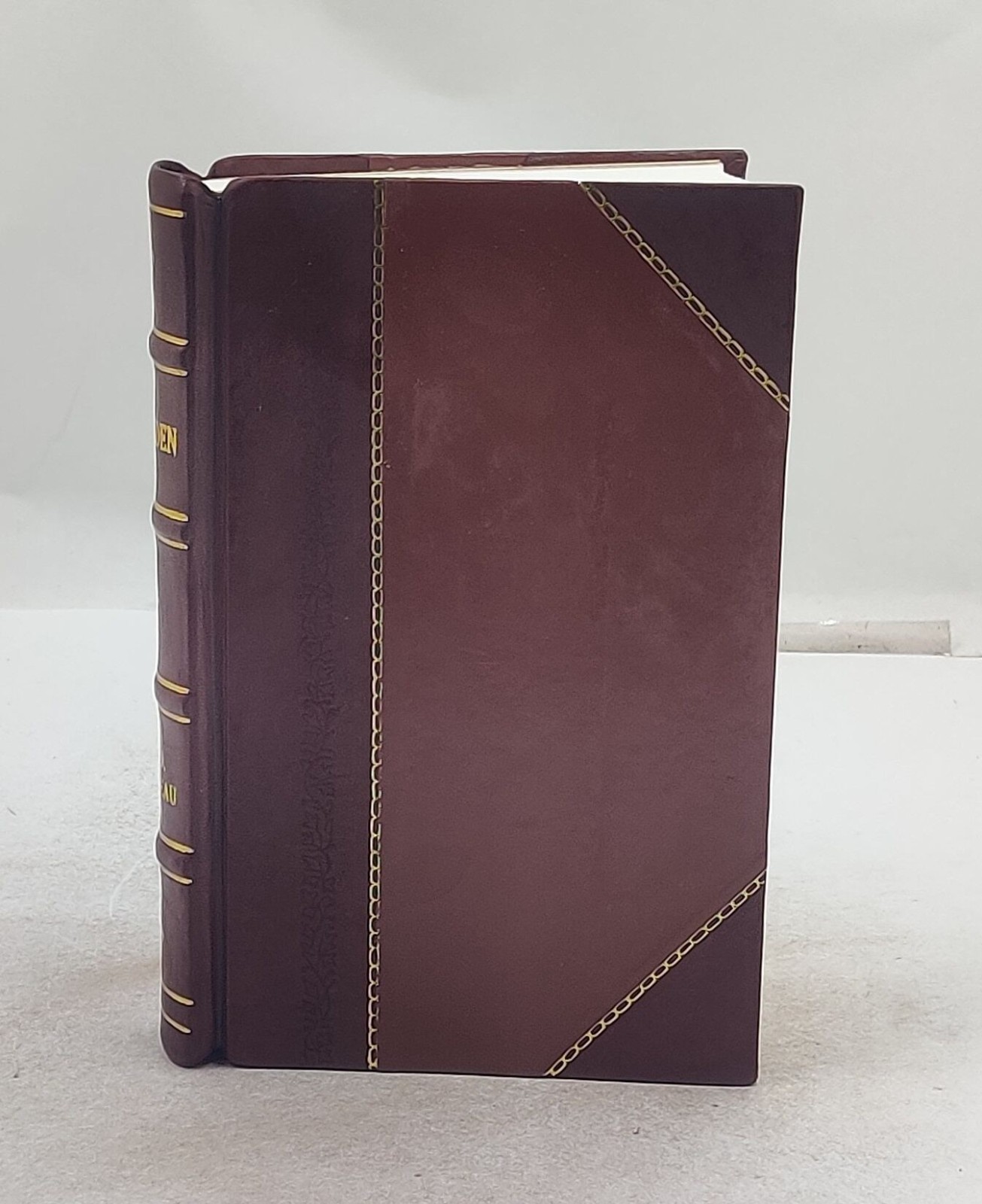 Walden or Life in the woods 1908 by Henry David Thoreau [Leather Crafted]