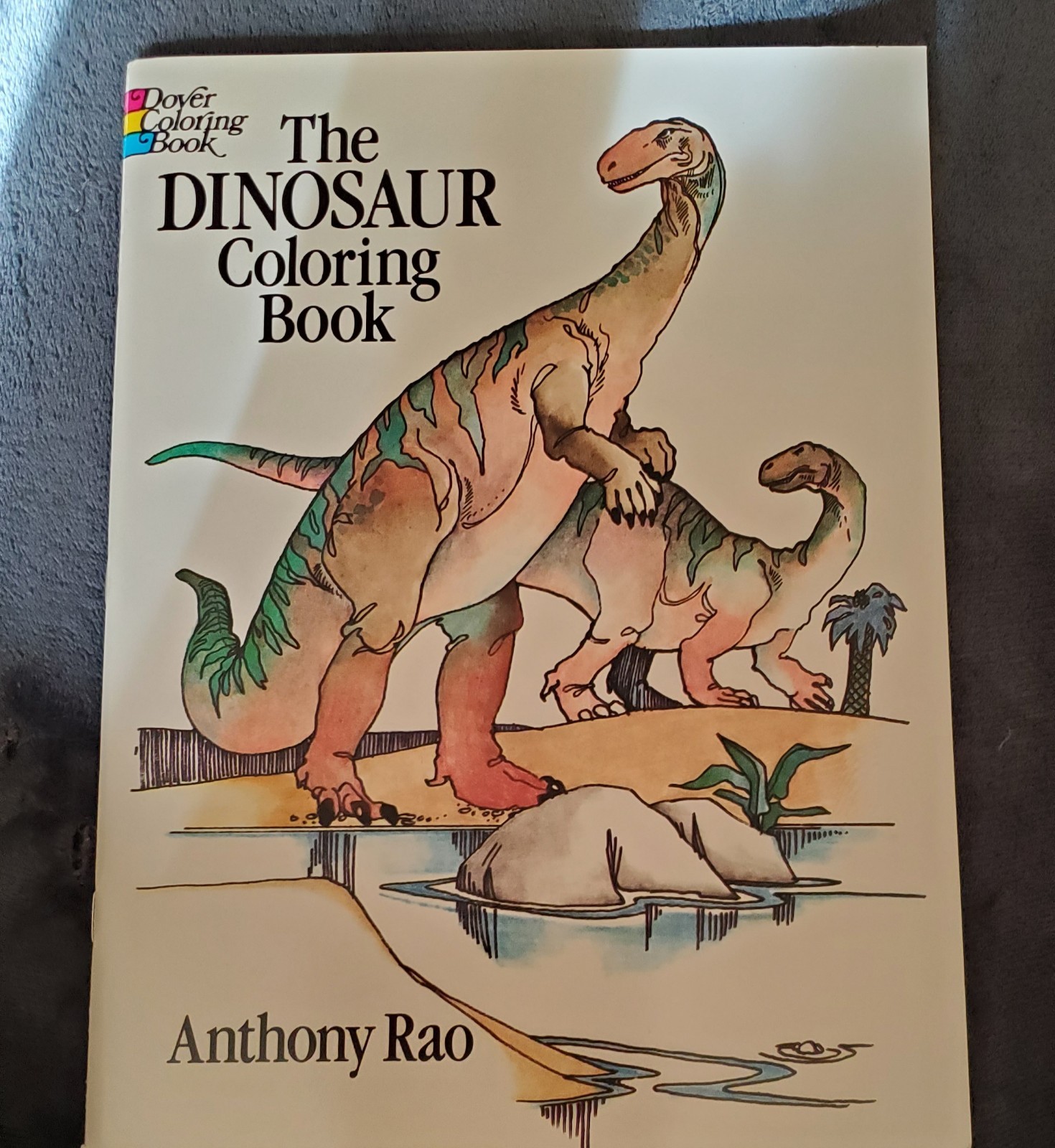 Vintage 1980 The Dinosaur Coloring Book by Anthony Rao for Dover Publications