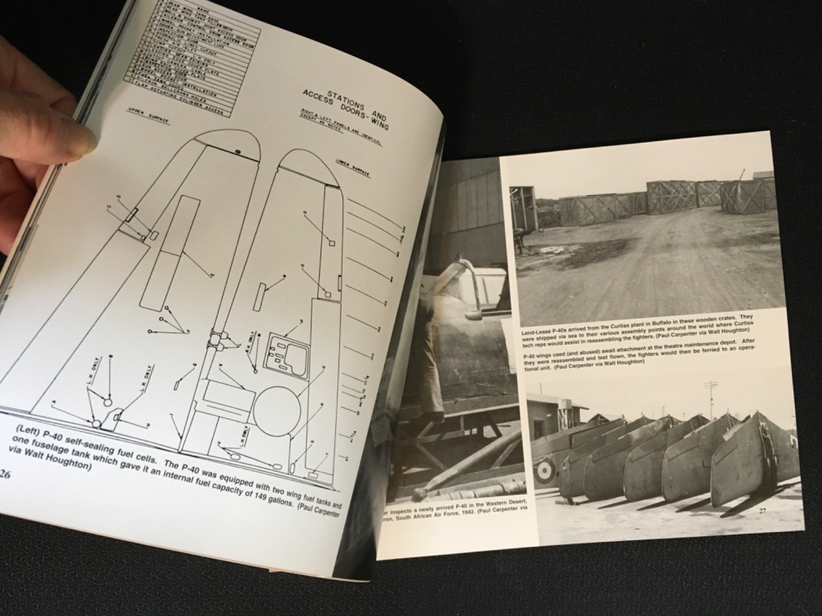 P-40 WARHAWK WALK AROUND Number 8 Squadron Signal WWII Military Aircraft Drendel