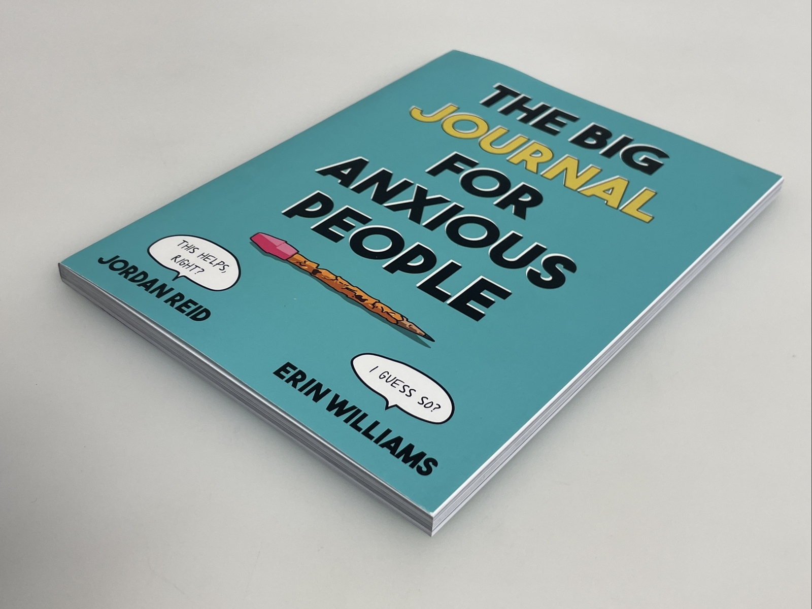 Big Journal for Anxious People by Jordan Reid (English) Paperback Book