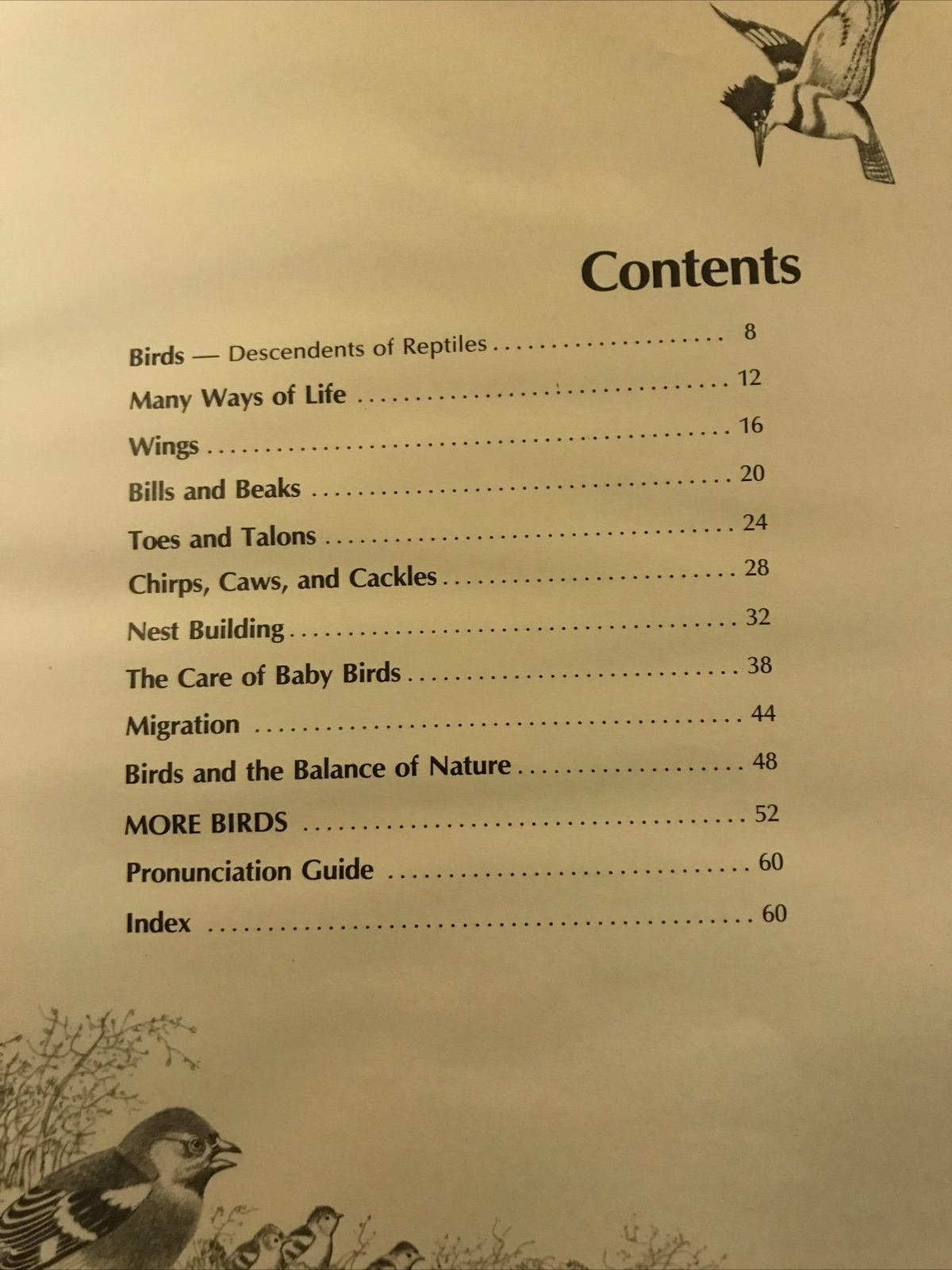Album of Birds by Tom McGowen, Rod Ruth – Drawings & Color Illustration￼￼￼￼s