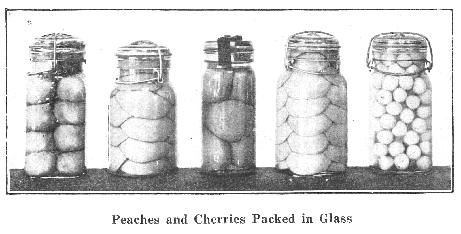 Home Canning Preserving & Pickling 1936 Old Timey Recipe Book Homesteading 4H