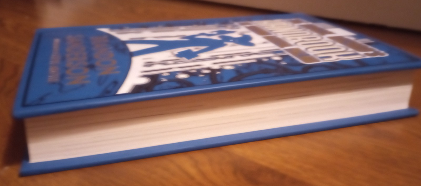 Frugal Wizard’s Handbook for Surviving Medieval England by Brandon Sanderson