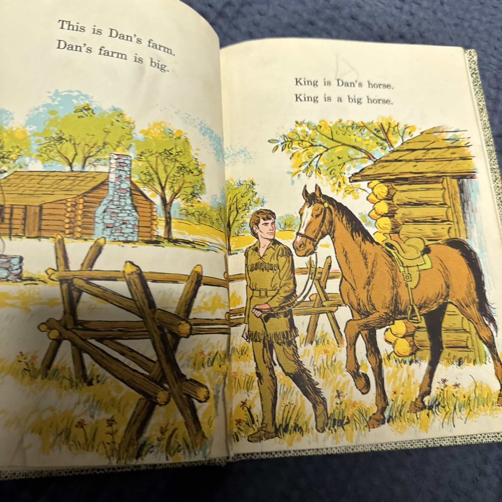 Dan Frontier and The New House William Hurley 1971 Hardcover Vintage
