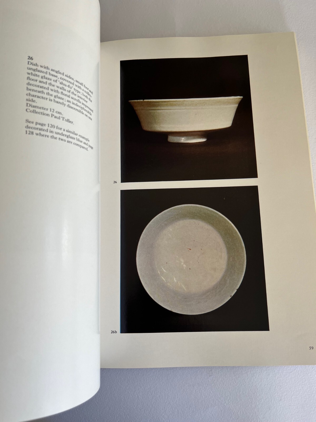 CHINESE and ANNAMESE CERAMICS found in the PHILIPPINES AND INDONESIA ~ art book