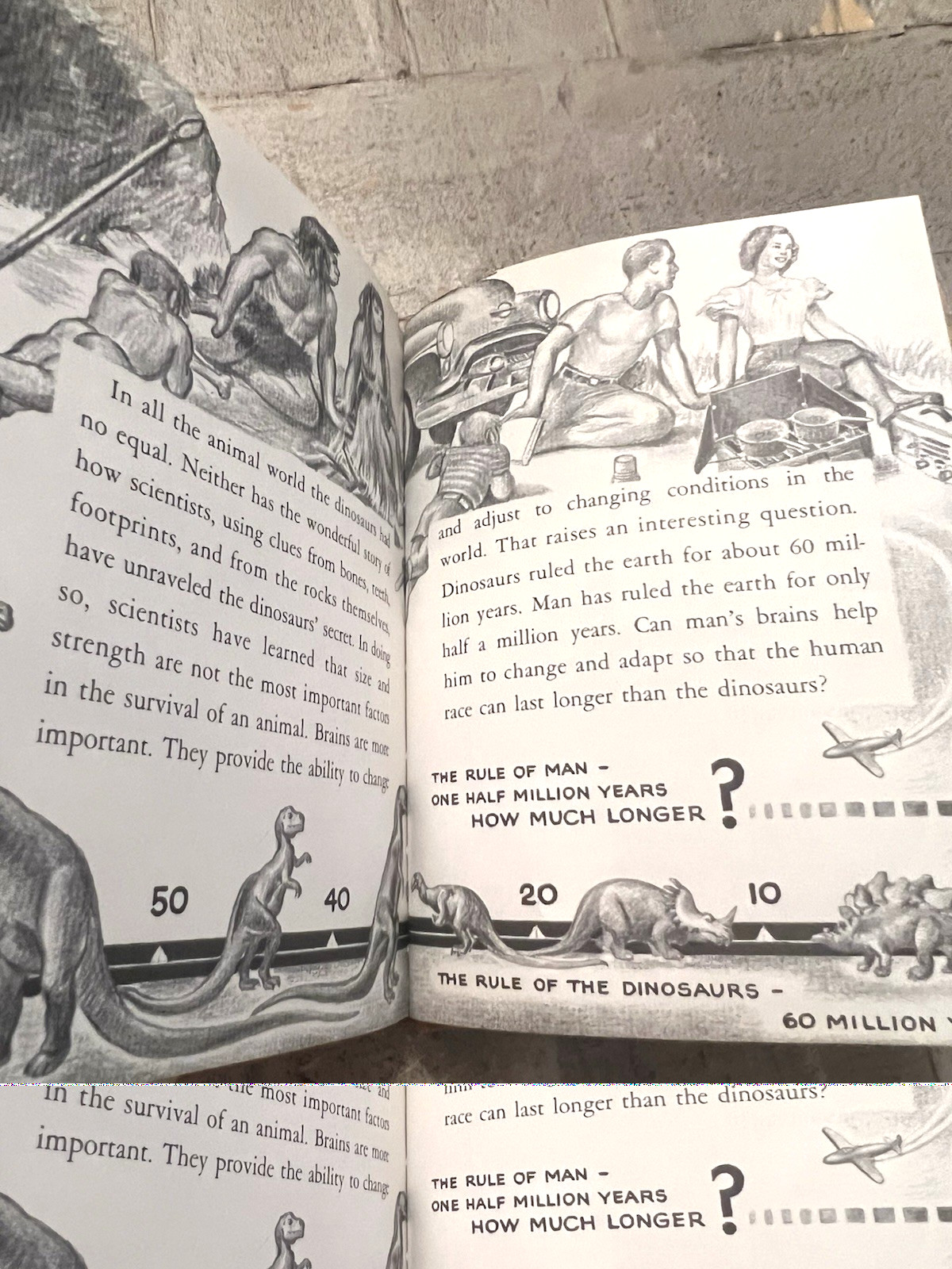Dinosaurs by Herbert S. Zim Illus. by James Gordon Irving c.1976 Library Edition