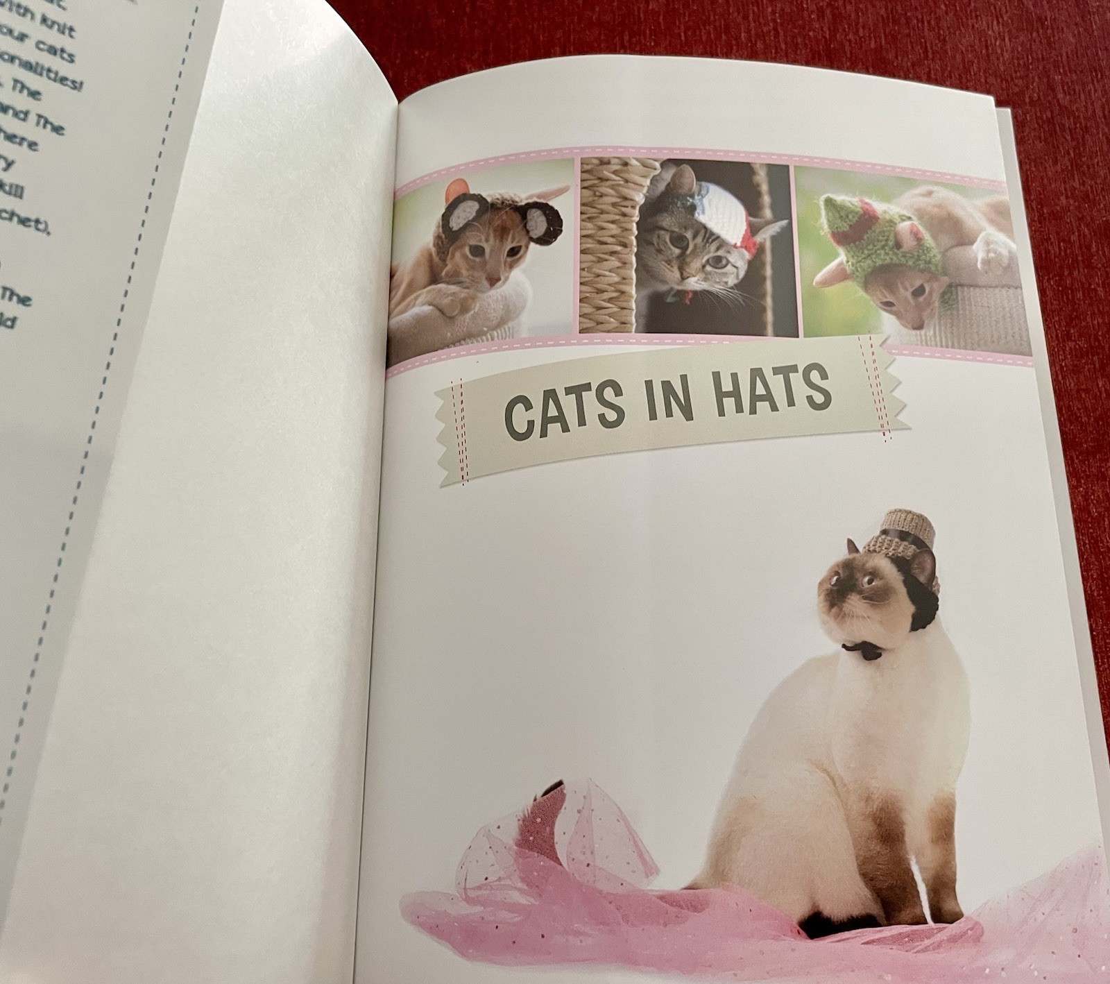 Cats in Hats: 30 Knit & Crochet Patterns for Your Kitty- Sara Thomas EUC PB 2015