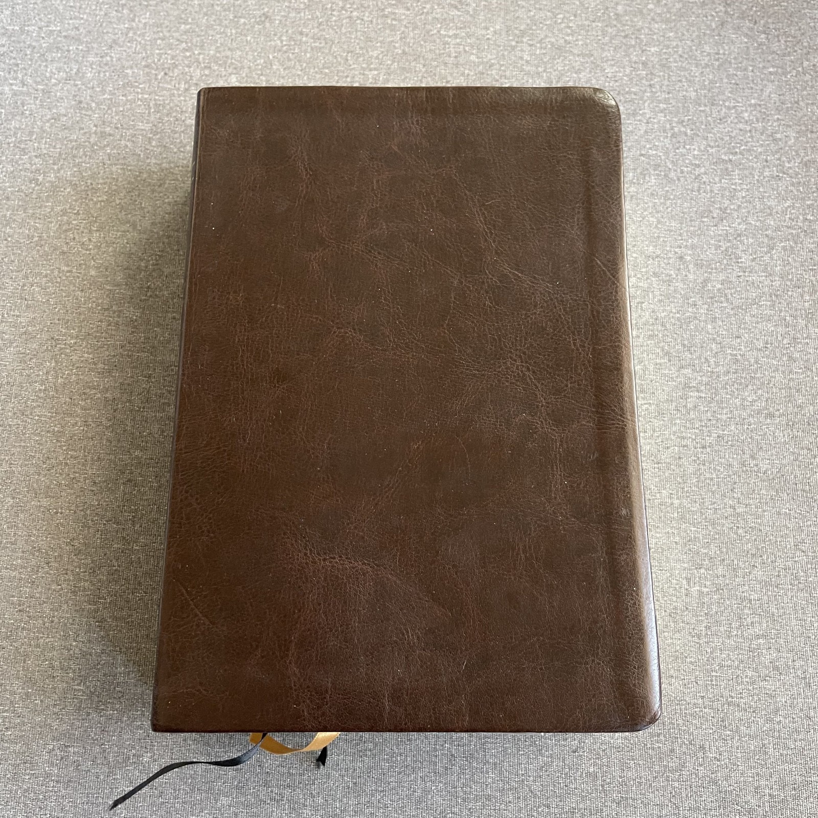 THOMPSON ANSWER BIBLE – NIV- SIMULATED LEATHER BRIDLE By Hartnell House