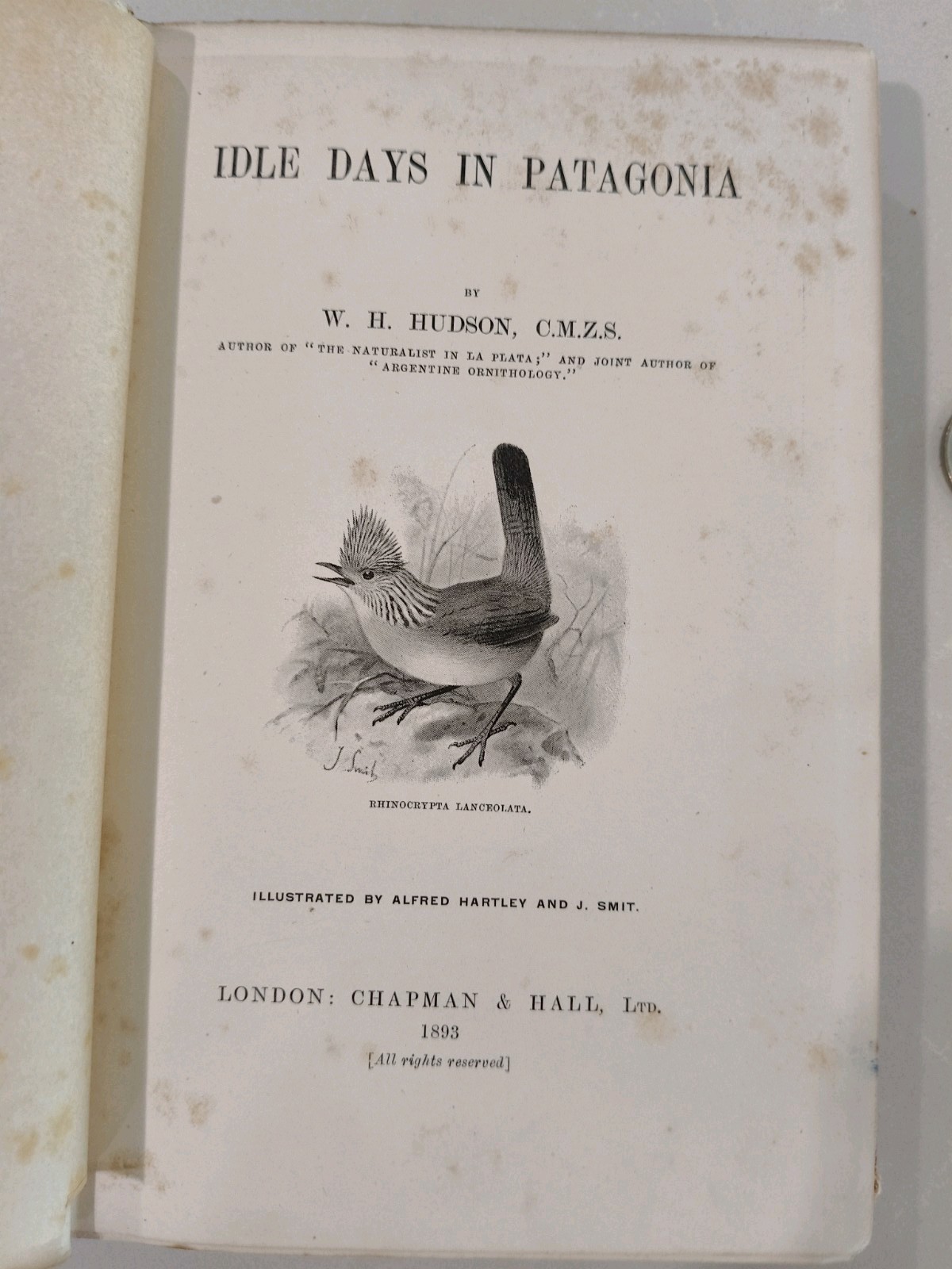 Idle Days in Patagonia W. H. Hudson 1893 1st Edition True First Chapman & Hall