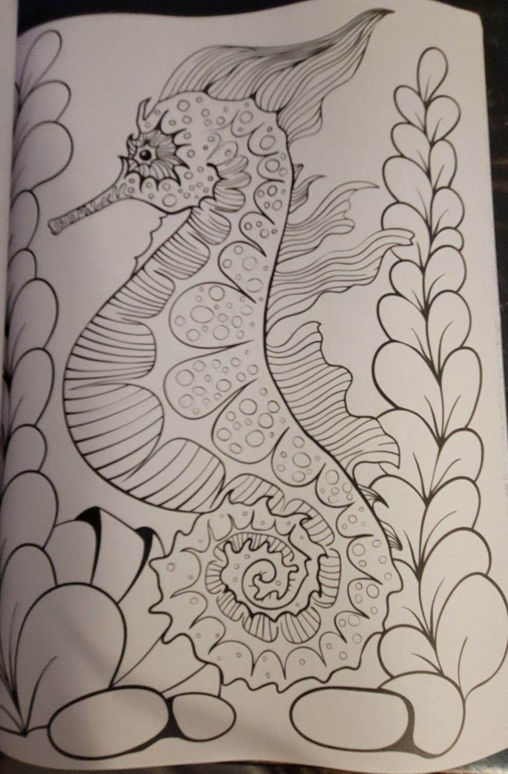 SEASUDE ESCAPES Adult Coloring Book With 62 Prints Ready To Color Relaxing Calm