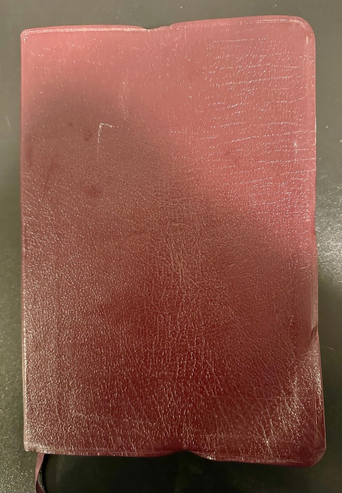 The Student Bible NIV Zondervan (1996, Bonded Leather)