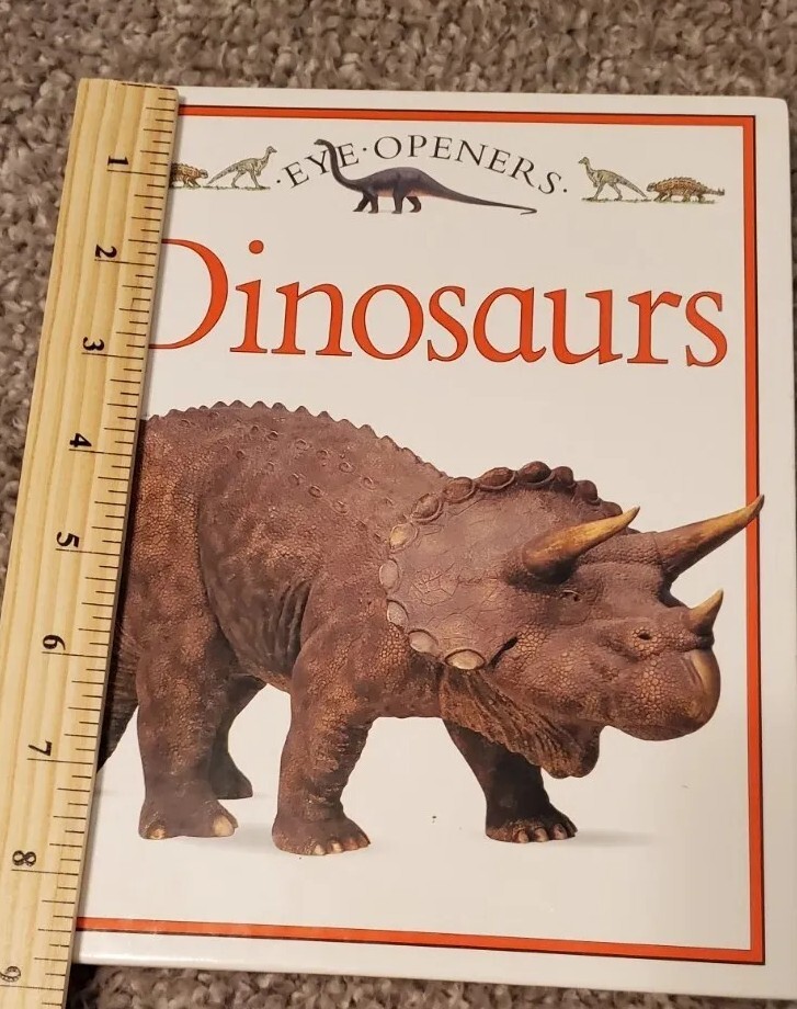 Lot Of 4 Children’s Dinosaur Picture Books Educational Fold Out Flaps 1 Vintage