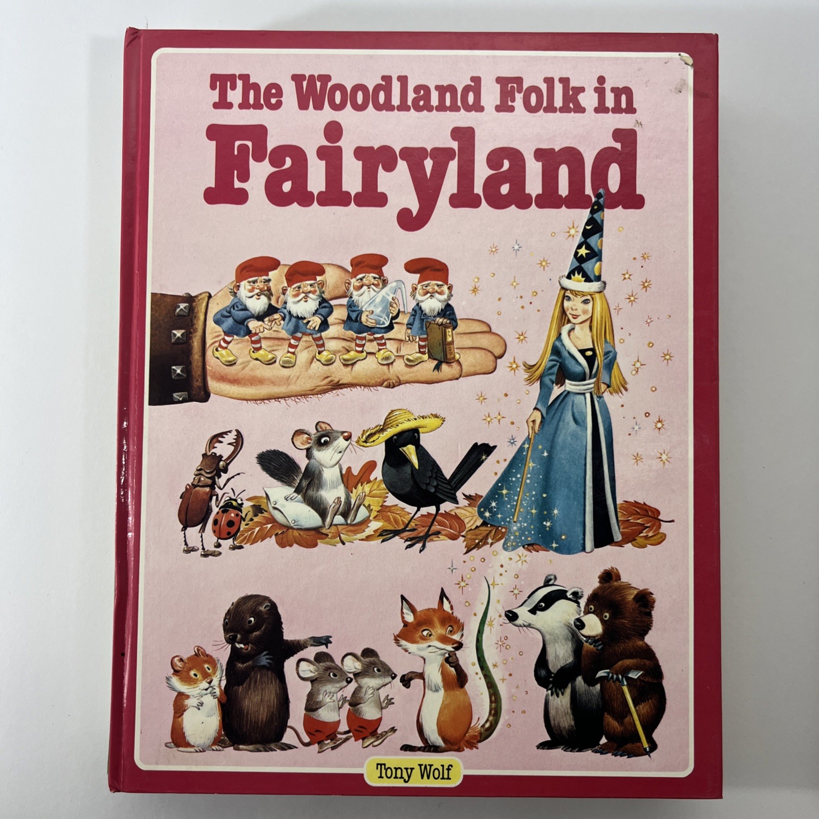 Set of 5 – The Woodland Folk Books – Gnomes Elves Fairies Dragons – Tony Wolf