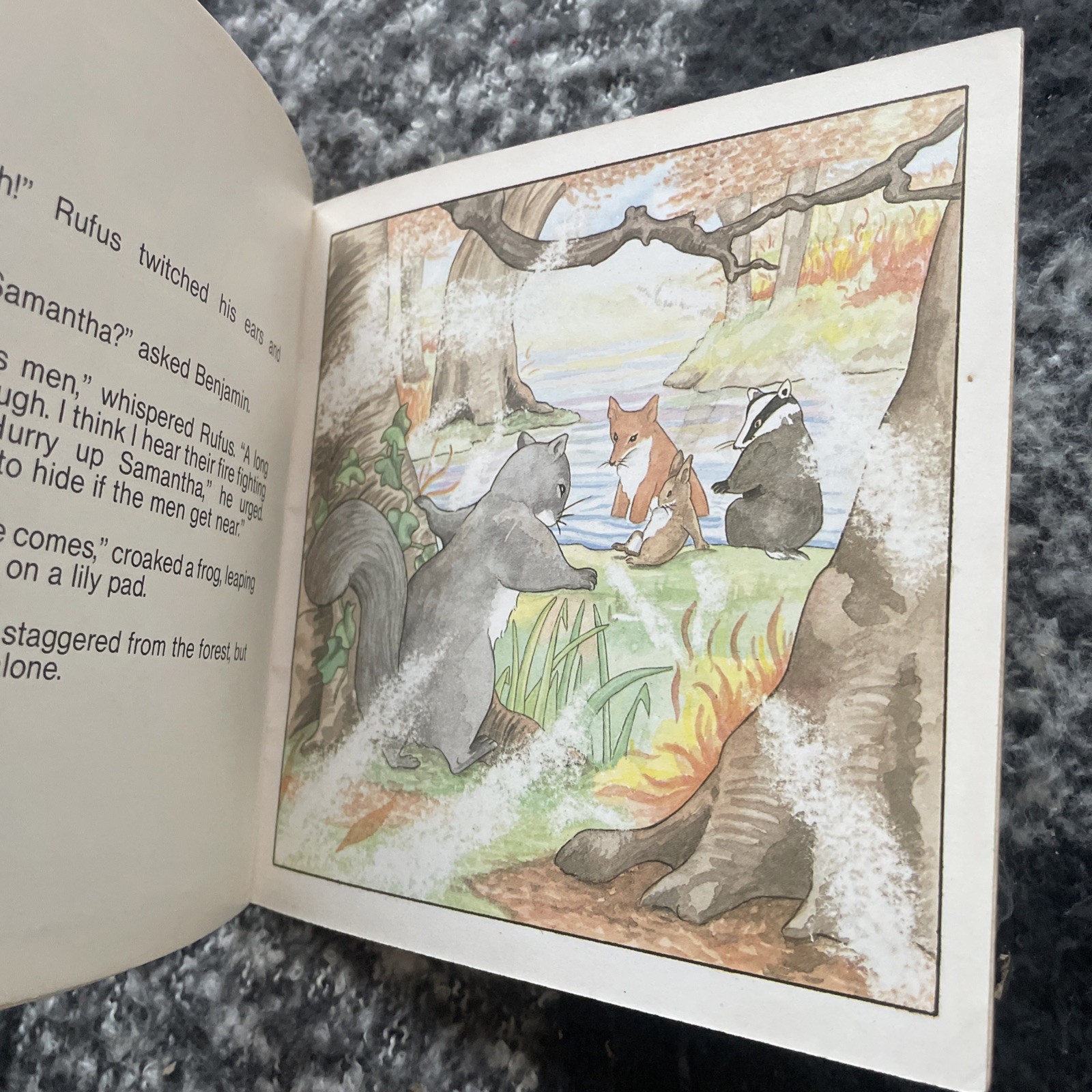 MURIEL MILLER. THE WOODLANDERS. PANIC IN THE WOODLAND. 17 BY 17 CM. 0906791472