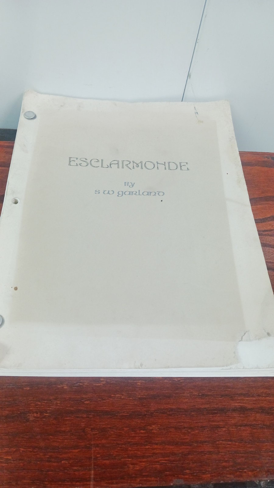 Screenplay Esclarmonde By S W Garland
