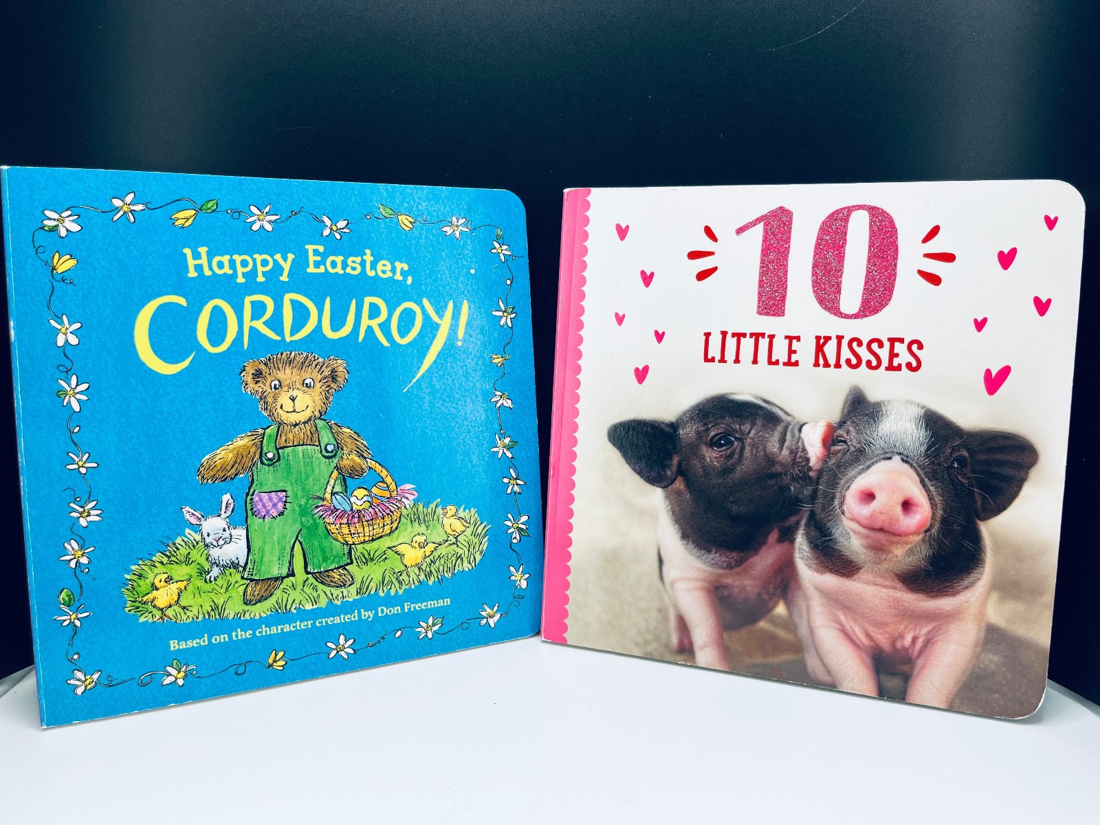 Lot of 10 Children’s Baby Toddler Board Picture Books Kids Daycare Family VIDEO