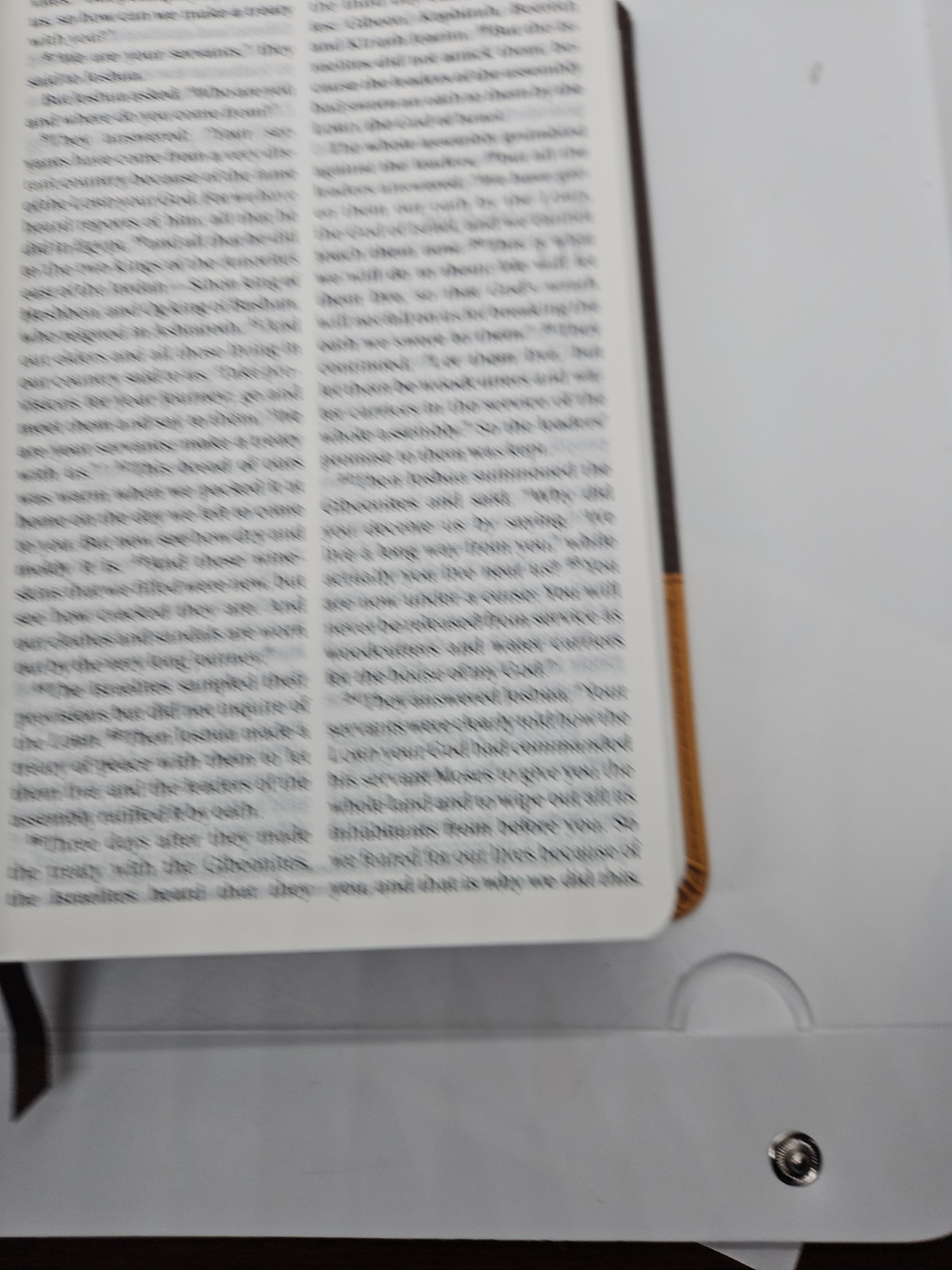 NIV Holy Bible Large Print Zondervan Brown DuoTone Leathersoft 2011