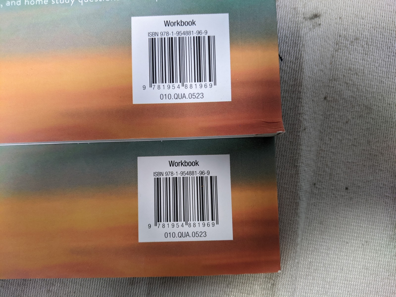 Ascension When You Pray Workbook Edward Sri Paperback 2023: Lot of 2