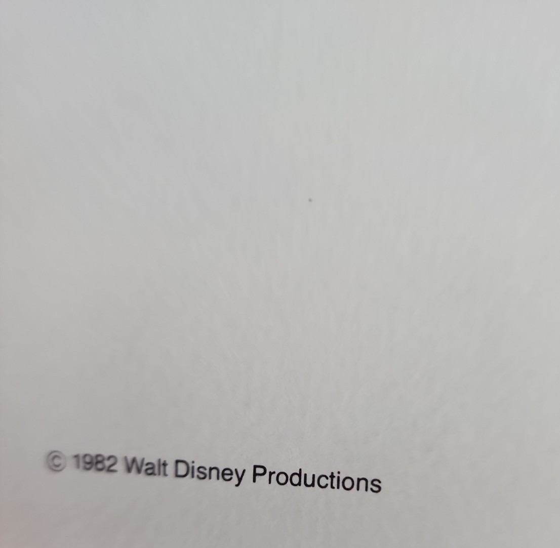 Walt Disney World: The First Decade (1982, Hardcover) Picture Book