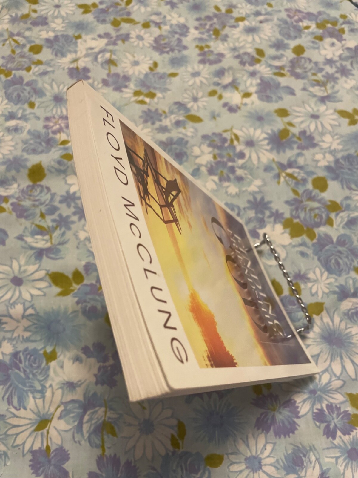 BOOK Finding Friendship with God FLOYD MCCLUNG paperback ywam publishing