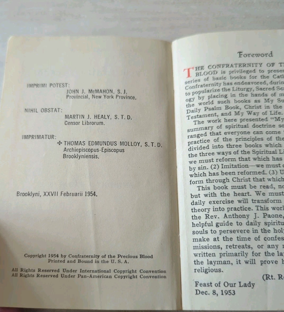 My Daily Bread A Summary of the Spiritual Life Prayer Anthony J. Paone 1954