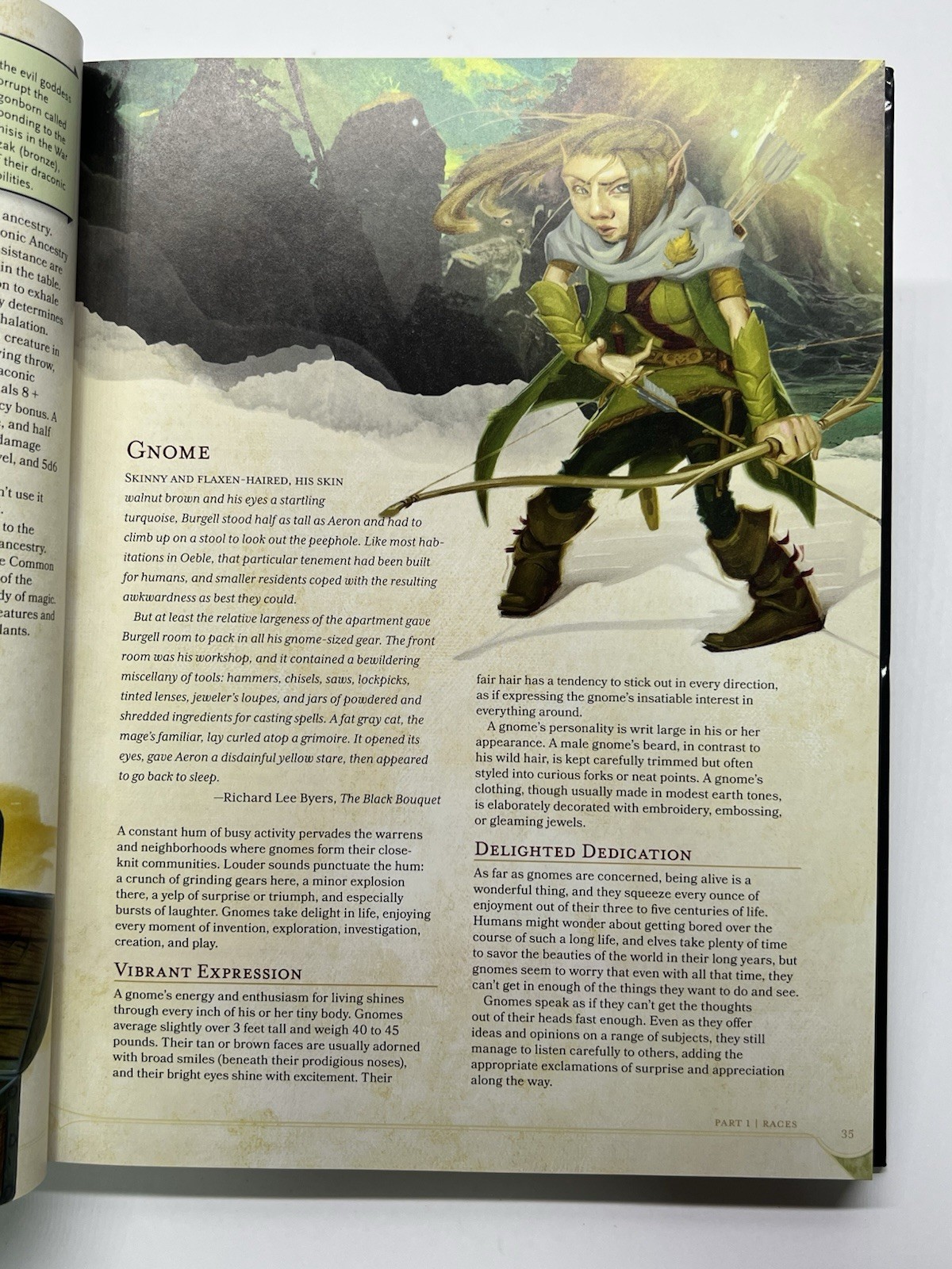 D&D 2014 Player’s Handbook (Dungeons & Dragons Core Rulebook)