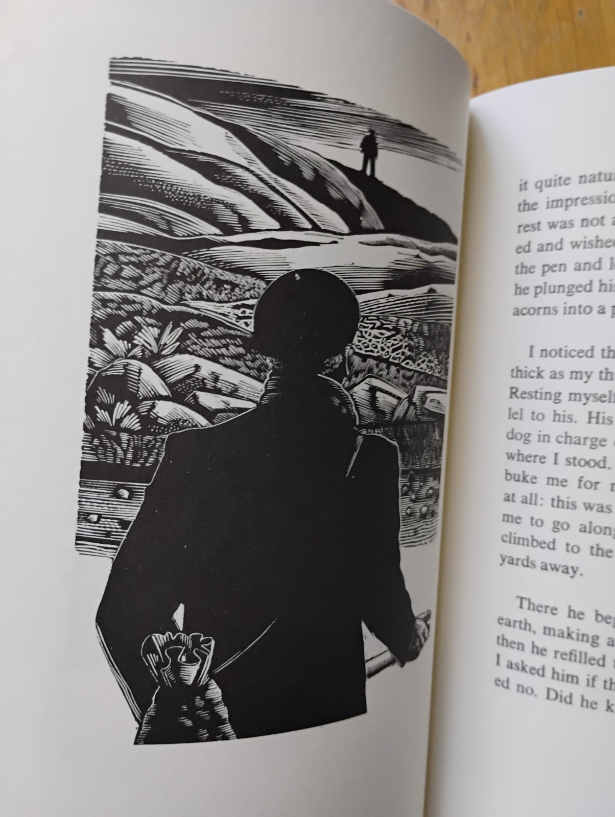 Man Who Planted Trees by Jean Giono 1987 PB Illus. Michael McCurdy