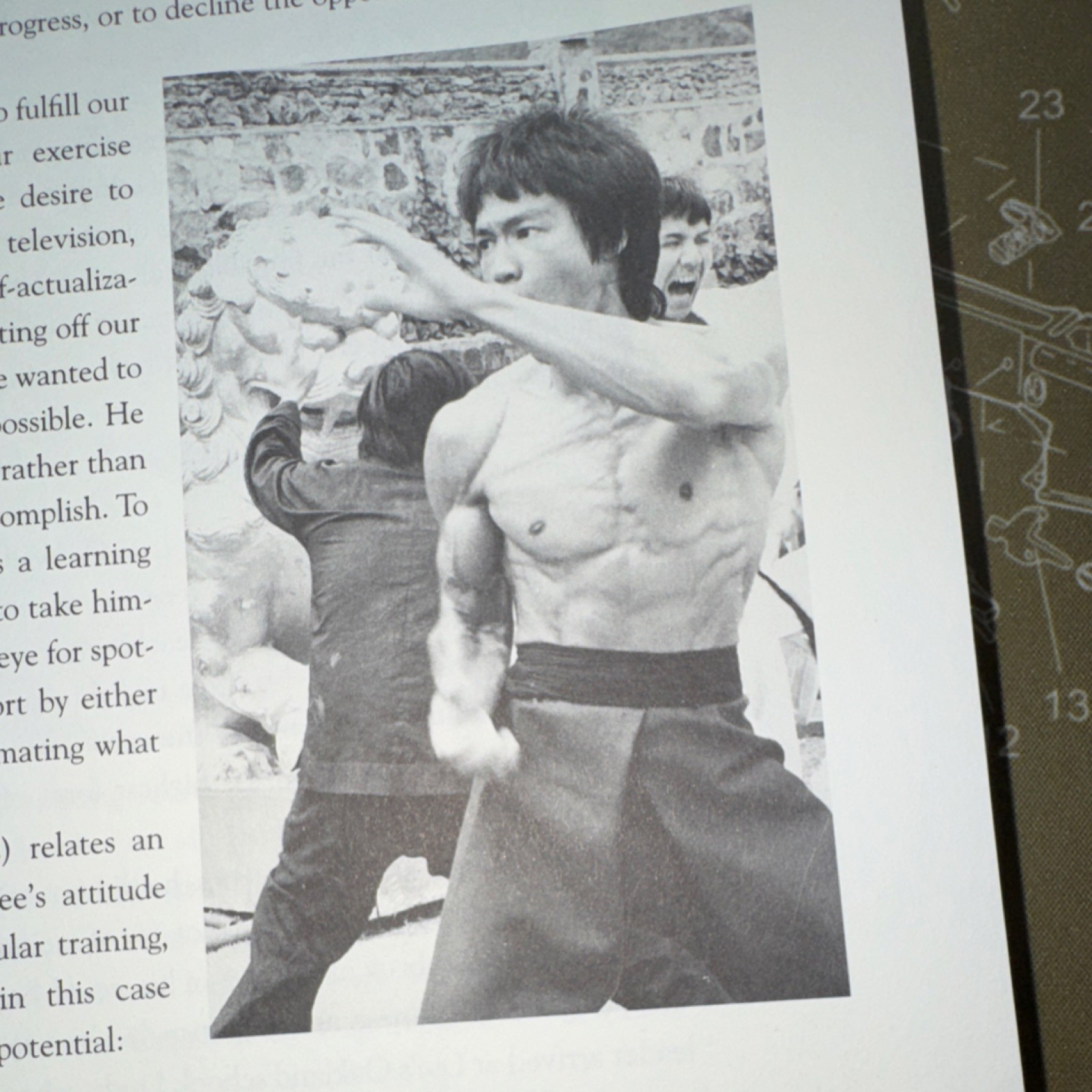 Bruce Lee The Art of Expressing the Human Body Bruce Lee Paperback Martial Arts