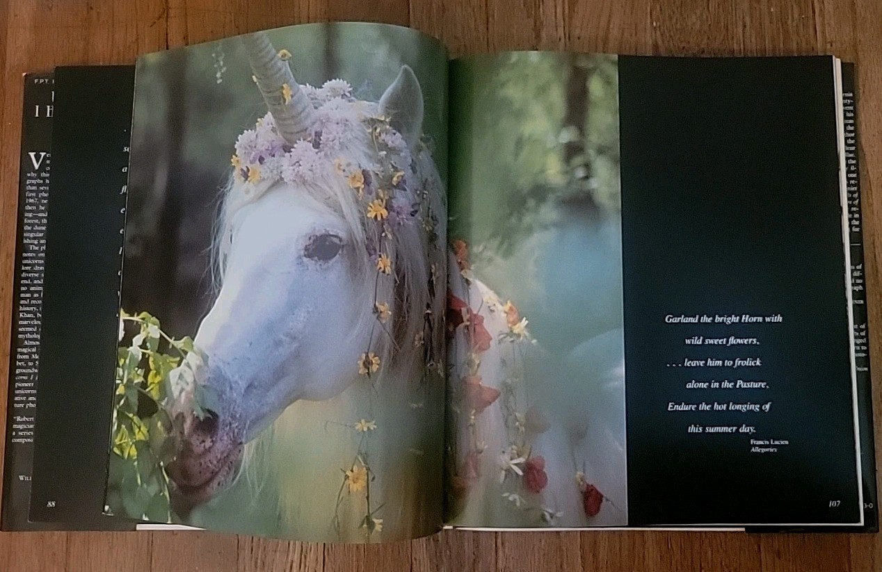 Unicorns I Have Known by Robert Vavra 1983