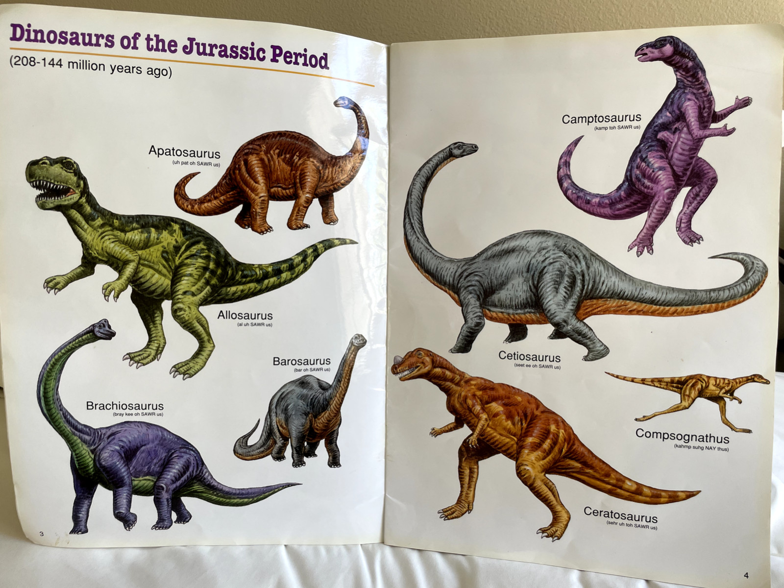 Amazing Dinosaurs (Giant Step Picture Library)