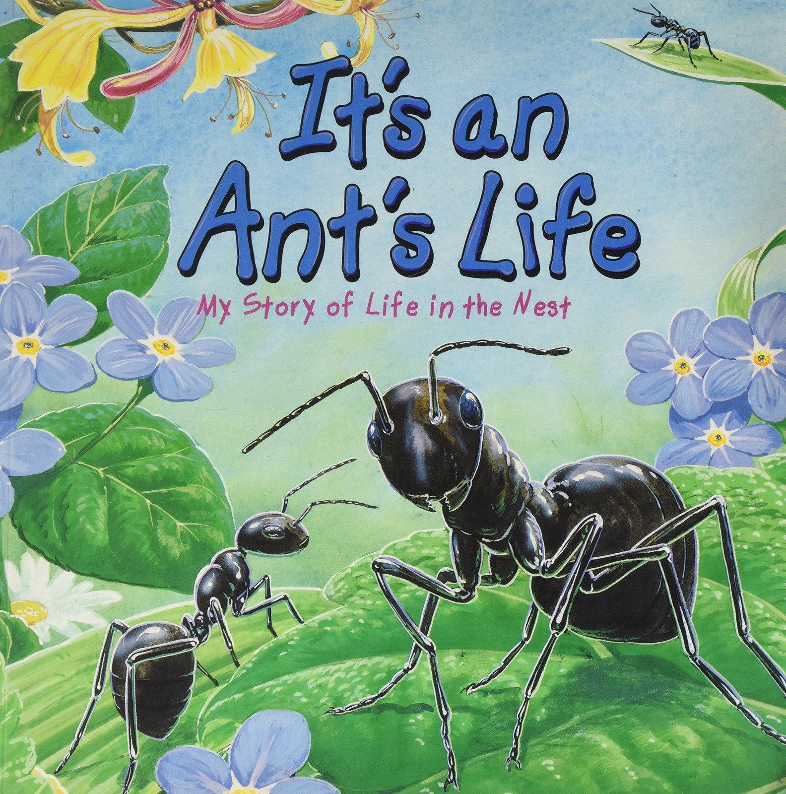 It’s an Ant’s Life – paperback Steve Parker