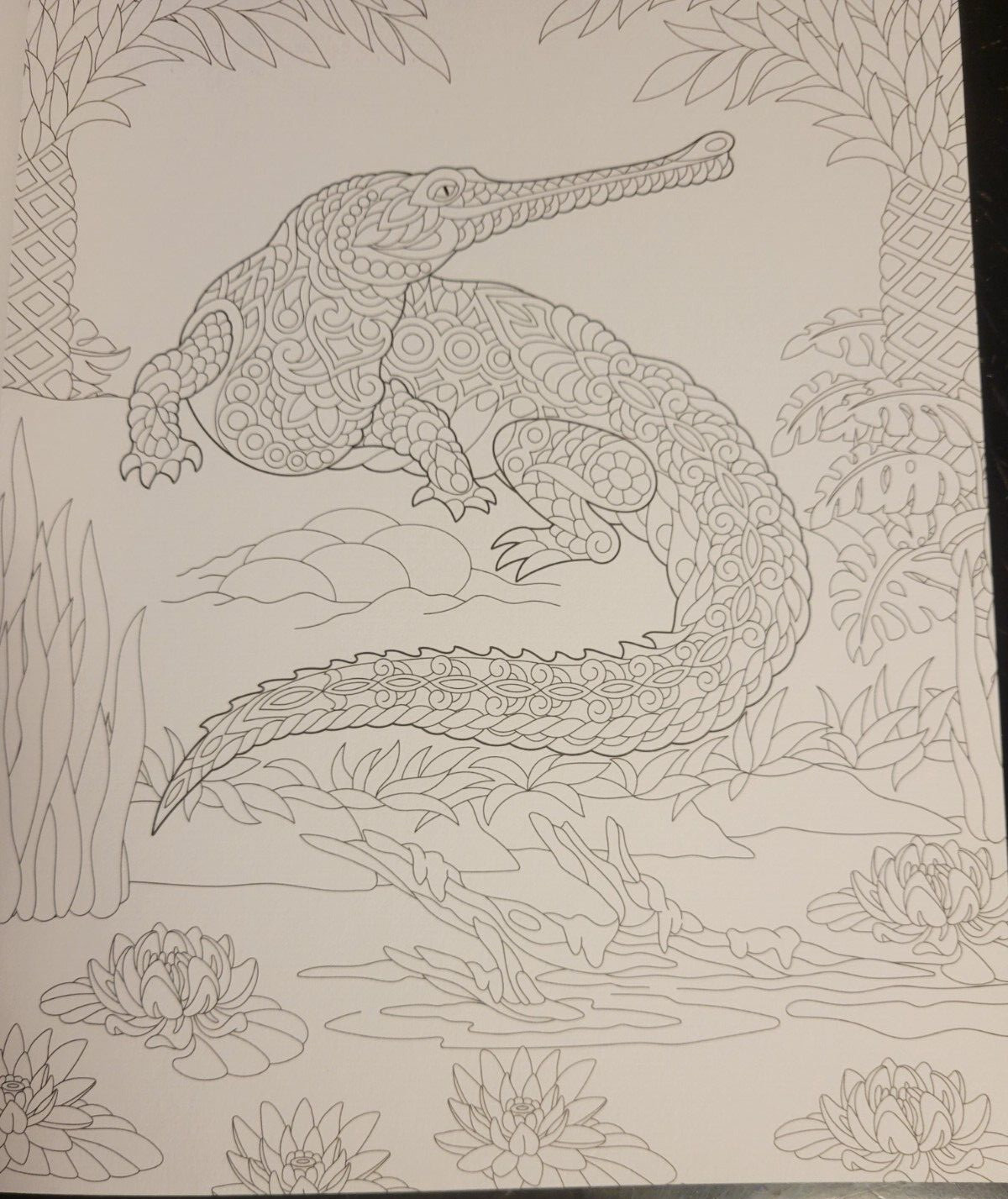 MAJESTIC CREATURES Vol 13 Adult Coloring Book With 47 Prints Ready To Frame