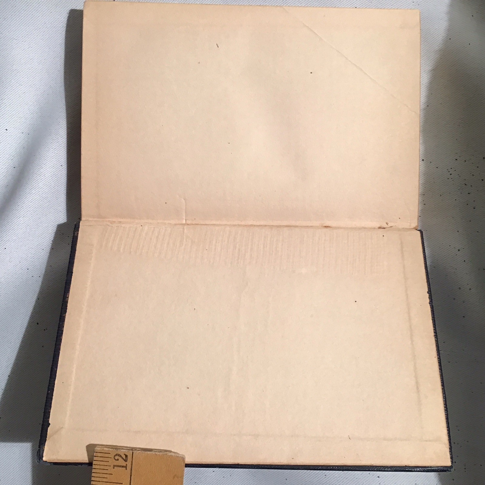 1904 Works of Edgar Allan Poe in Ten Vol, Commemorative Ed. No I and III vol.