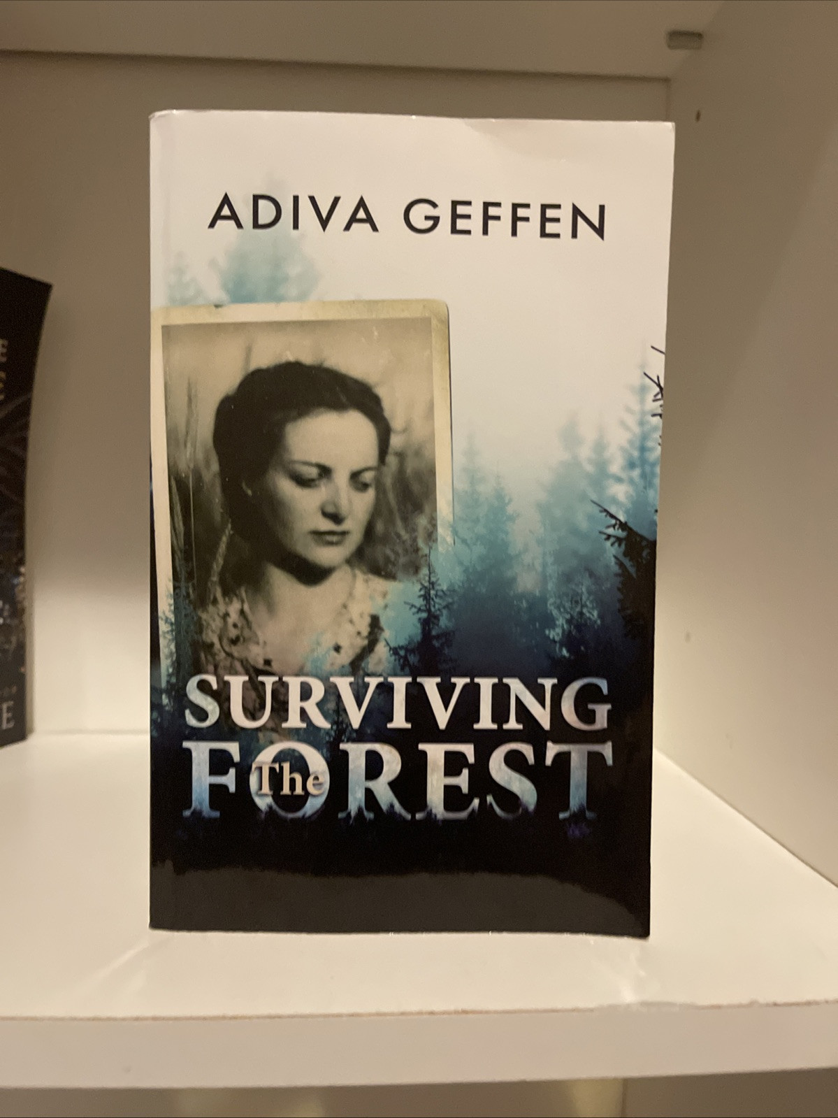 Surviving the Forest by ReadMore ReadMore Press and Adiva Geffen (2019, Trade…